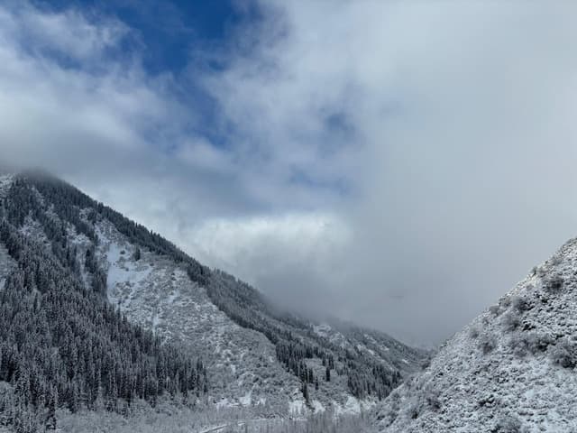 Almaty’s Whisper: Snowy Peaks and Wild Beauty