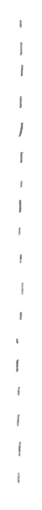 dashed-line